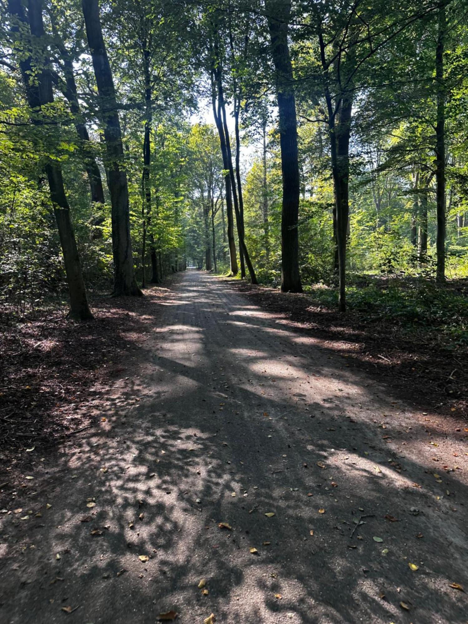 Chalet In Het Bos - Gezin - Wandelaars - Digital Nomads - Hs Wifi - Fijnspar 108 Aan de Wolfsberg Luaran gambar